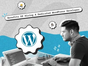 hire a wordpress developer